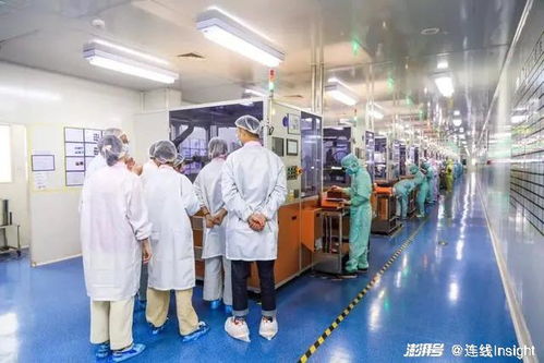 業績向好，股價卻下跌 新消費‘第一股’們怎么了？